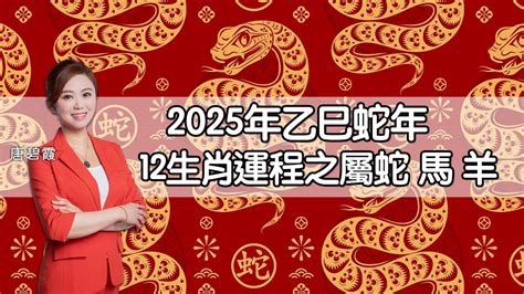 2025蛇|2025蛇年運程｜12生肖運勢全面睇+犯太歲4生肖+開運大